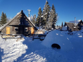 Chalet Encijan - Velika planina